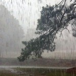 กทม.ฝนตก80%