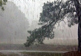 กทม.ฝนตก80%
